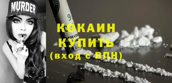 прущий лед Новозыбков