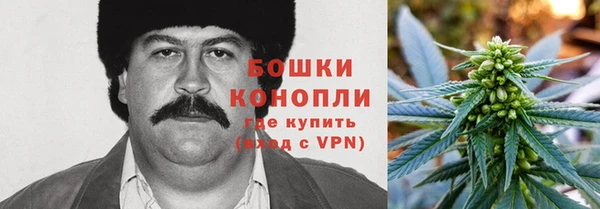 прущий лед Новозыбков