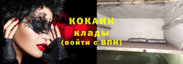 прущие грибы Новодвинск