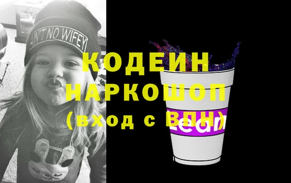 прущие грибы Новодвинск