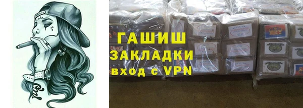 прущие грибы Новодвинск