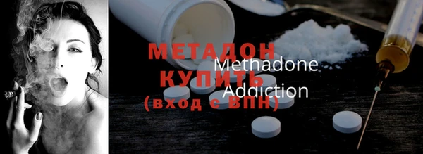прущие грибы Новодвинск