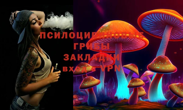 прущие грибы Новодвинск