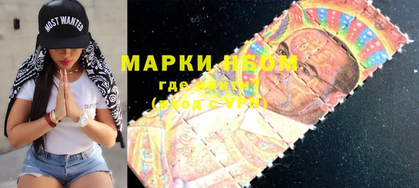 прущий лед Новозыбков