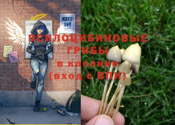 прущий лед Новозыбков