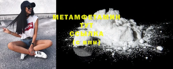 прущие грибы Новодвинск