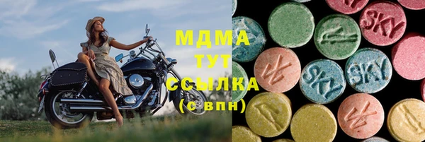прущие грибы Новодвинск