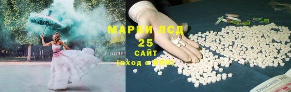 прущие грибы Новодвинск