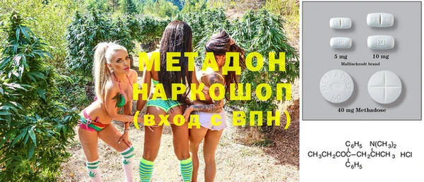 прущие грибы Новодвинск
