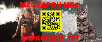 стафф Гатчина