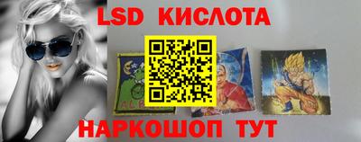 стафф Гатчина