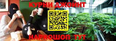стафф Гатчина