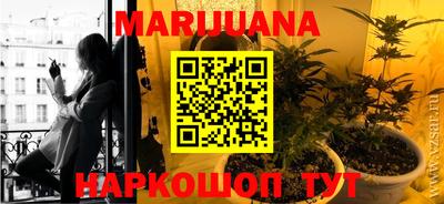 стафф Гатчина