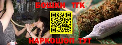 стафф Гатчина
