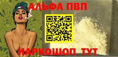 стафф Гатчина