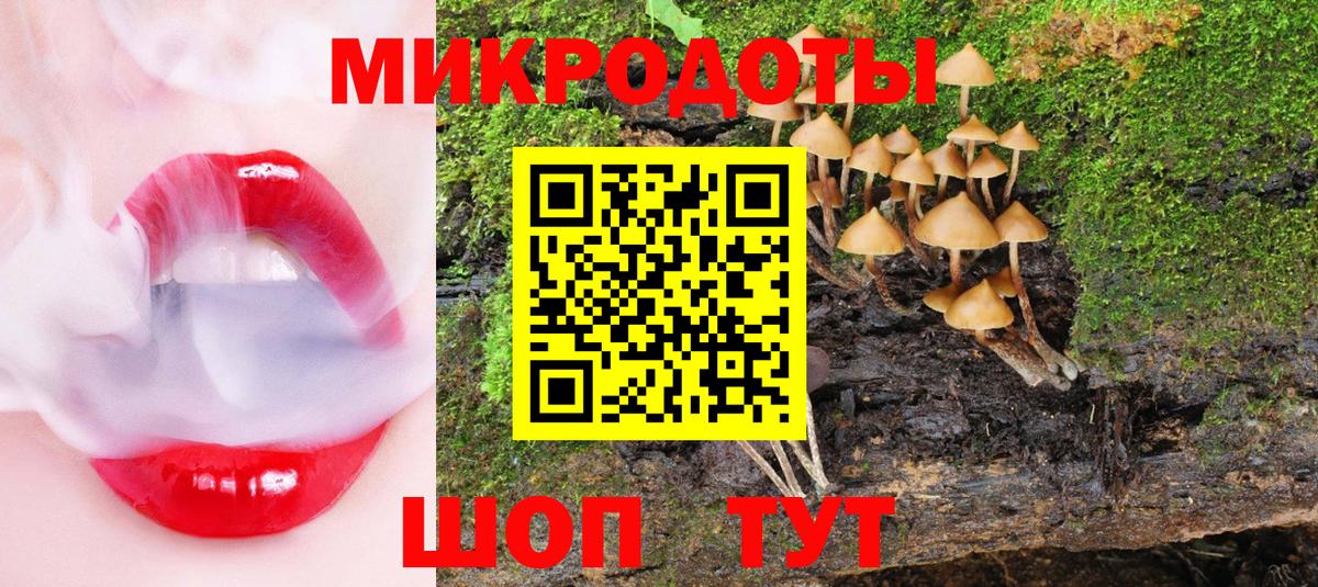 Псилоцибиновые грибы Psilocybine cubensis Бугульма
