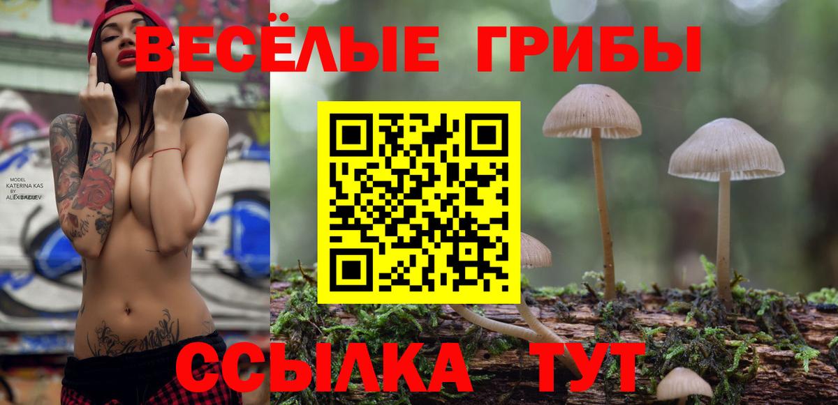 купить закладку  Вход с VPN  Бугульма  Псилоцибиновые грибы прущие грибы 